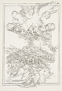 Lieselotte Van Daele_LR.webp