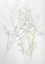 Nancy_LaRosa.webp