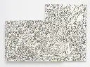 Stijn Cole_LR.webp