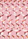 Robin Vermeersch_LR.webp